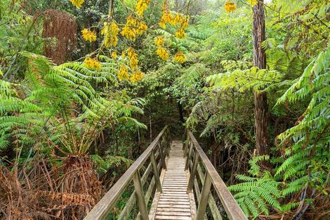 Photo of property in 159 Te Miro Road, Te Miro, Cambridge, 3496