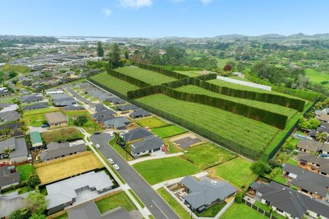 Photo of property in 6 Sam Heywood Place, Pyes Pa, Tauranga, 3112