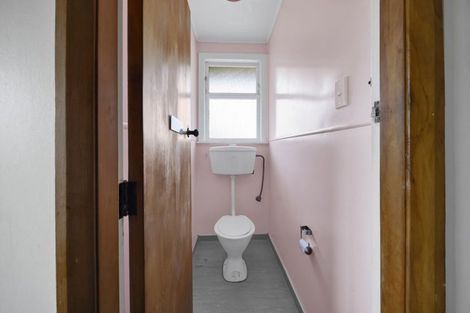 Photo of property in 97 Brecon Road, Stratford, 4332