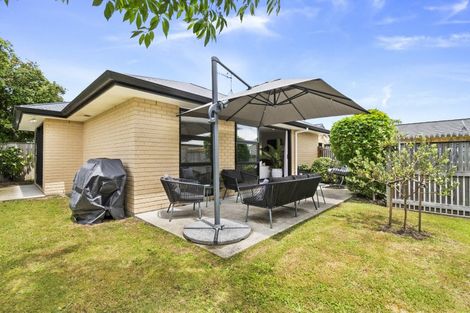 Photo of property in 552 Church Street, Terrace End, Palmerston North, 4410