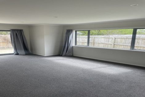 Photo of property in 14b Leicester Street, Terrace End, Palmerston North, 4410