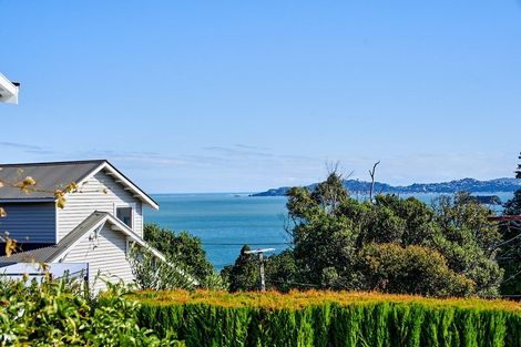 Photo of property in 54 Ferry Road, Days Bay, Lower Hutt, 5013