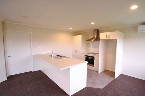 Photo of property in 33 Pakohe Street, Pegasus, 7612