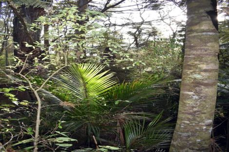 Photo of property in 53 De Boer Lane, Mangawhai, Kaiwaka, 0573