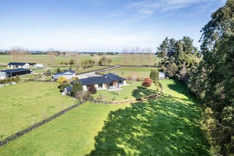 Photo of property in 255 Calico Line, Marton, 4787