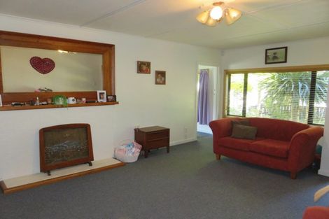 Photo of property in 107 Banks Street, Thames, 3500
