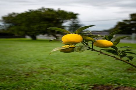 Photo of property in 48 Swan Road, Te Kauwhata, 3781