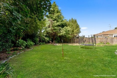 Photo of property in 3 Normanby Street, Rakaia, 7710