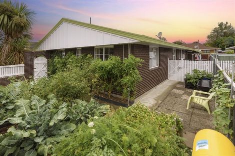 Photo of property in 48 Highbury Drive, Levin, 5510