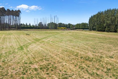 Photo of property in 135 Raddens Road, Ohoka, 7692