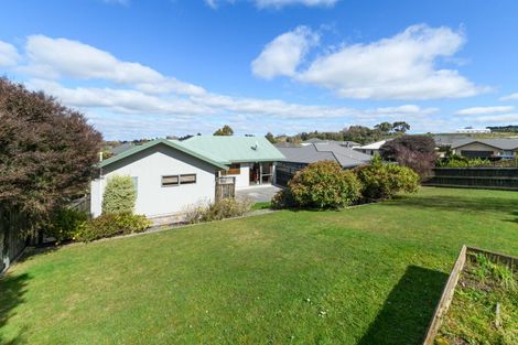 Photo of property in 62 Fraser Drive, Feilding, 4702