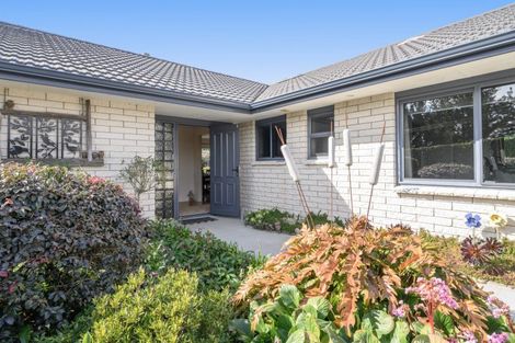 Photo of property in 561 Cambridge Road, Tauriko, Tauranga, 3110