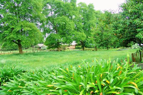 Photo of property in 93 Penny Road, Pirongia, Te Awamutu, 3876