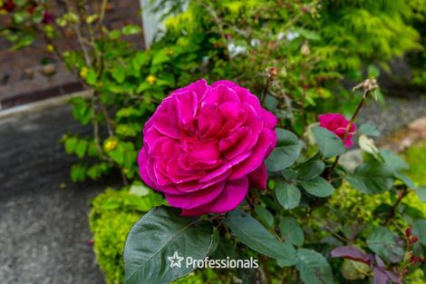 Photo of property in 22a Oxford Crescent, Ebdentown, Upper Hutt, 5018