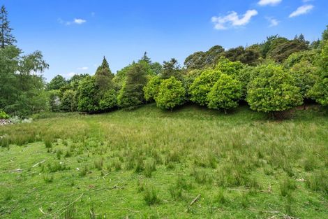 Photo of property in 51 Selbourne Avenue, Richmond, 7020