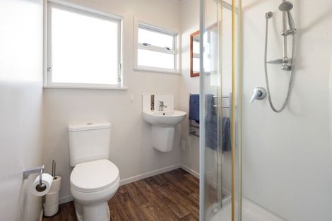 Photo of property in 21 Fitzroy Avenue, Fitzroy, Hamilton, 3206
