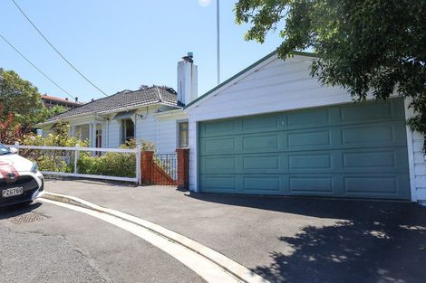 Photo of property in 17 Littlebourne Road, Roslyn, Dunedin, 9010