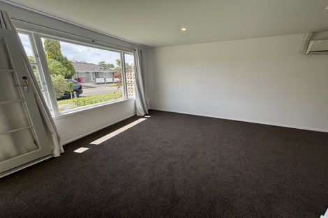 Photo of property in 55 Windsor Street, Terrace End, Palmerston North, 4410