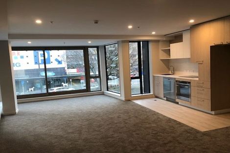 Photo of property in Vsp South, 105/168 Victoria Street, Te Aro, Wellington, 6011