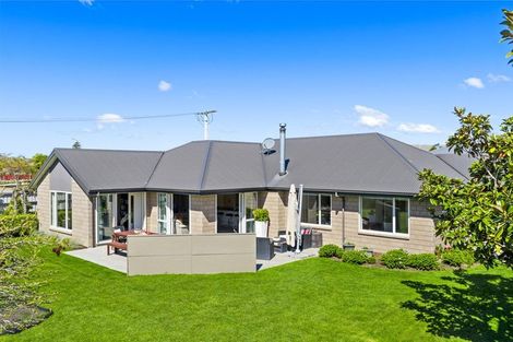 Photo of property in 11 Rose Street, Springlands, Blenheim, 7201
