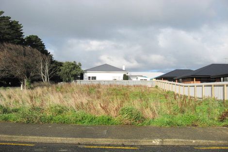 Photo of property in 51 Ness Street, Invercargill, 9810