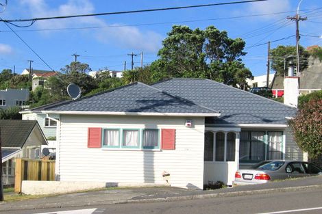 Photo of property in 119 Farnham Street, Mornington, Wellington, 6021