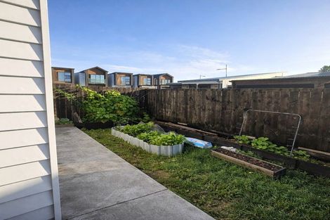 Photo of property in 19 Fredrick Hanson Road, Papakura, 2110