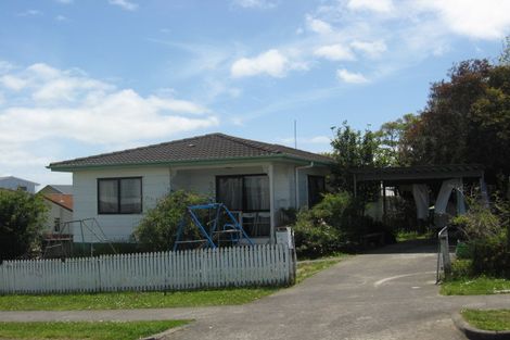 Photo of property in 46 Maplesden Drive, Clendon Park, Auckland, 2103