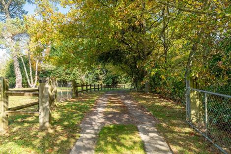 Photo of property in 175 Forest Road, Oruanui, Taupo, 3384