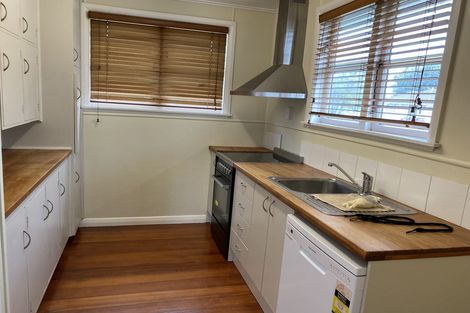 Photo of property in 29 Douglas Crescent, Fairfield, Hamilton, 3214