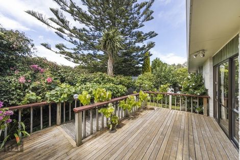 Photo of property in 9 Dalzien Place, Feilding, 4702