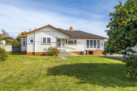 Photo of property in 20 Hannan Street, Levin, 5510