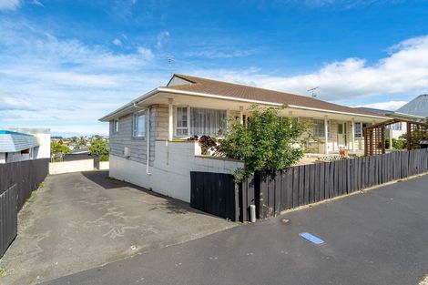 Photo of property in 161b Eglinton Road, Mornington, Dunedin, 9011