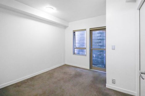 Photo of property in 3um Papawai Terrace, Mount Cook, Wellington, 6021
