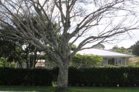 Photo of property in 18b Queen Road, Bellevue, Tauranga, 3110