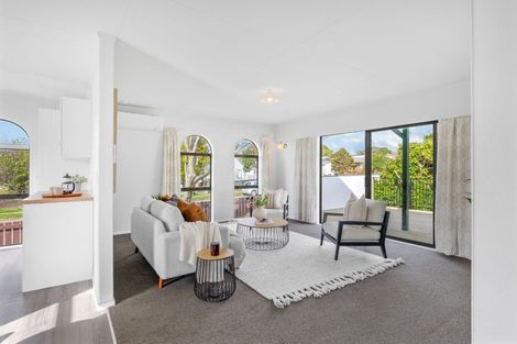Photo of property in 51 Desert Gold Street, Ascot Park, Porirua, 5024
