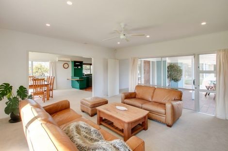 Photo of property in 206 Napier Road, Havelock North, Hastings, 4180