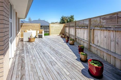 Photo of property in 80 Golden Shore Place, Coromandel, 3506