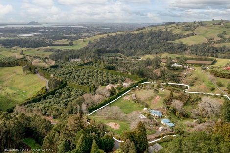Photo of property in 257d Whakamarama Road, Whakamarama, Tauranga, 3179