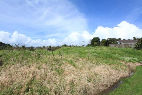 Photo of property in 9 John Street, Raglan, 3225