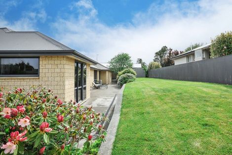 Photo of property in 119 Edinburgh Crescent, Waikiwi, Invercargill, 9810