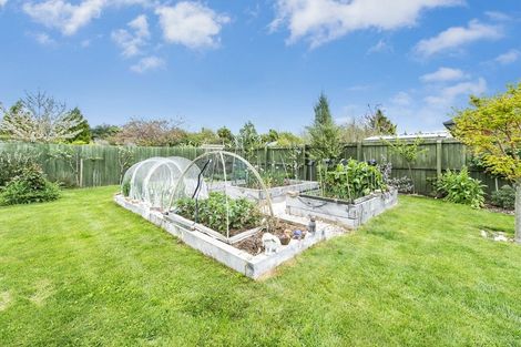 Photo of property in 79 North Terrace, Darfield, 7510