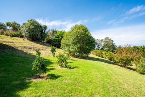 Photo of property in 235 Devich Road, Mangawhai, Kaiwaka, 0573