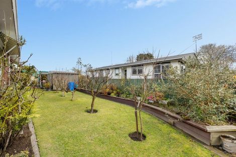 Photo of property in 151b Boucher Avenue, Te Puke, 3119