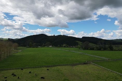 Photo of property in 605 Tirau Road, Cambridge, 3496