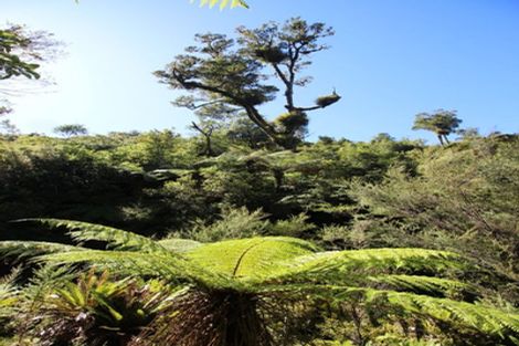 Photo of property in 552 Cuff Road, Erua, Owhango, 3990