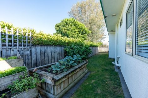 Photo of property in 6 Longford Court, Forest Lake, Hamilton, 3200