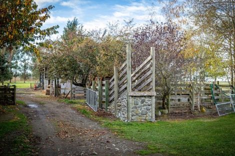 Photo of property in 46 Templer Street, Geraldine, 7992