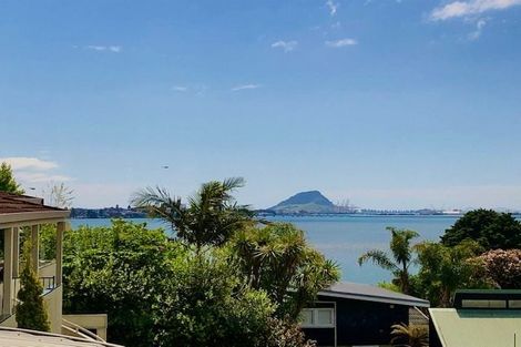 Photo of property in 8b Anchorage Grove, Maungatapu, Tauranga, 3112