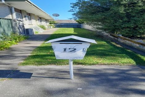 Photo of property in 12 Wynyard Road, Mount Eden, Auckland, 1024